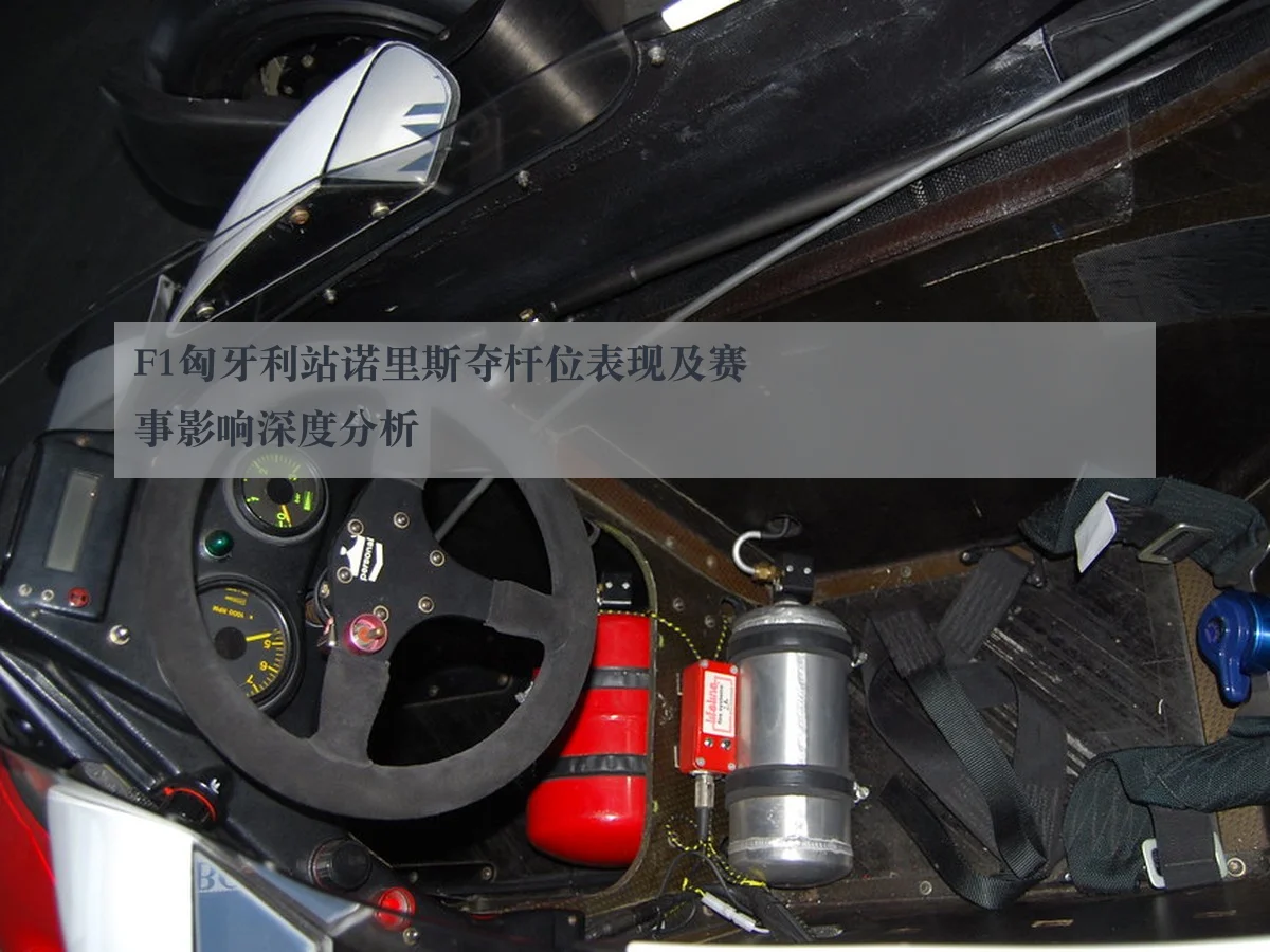 F1匈牙利站诺里斯夺杆位表现及赛事影响深度分析